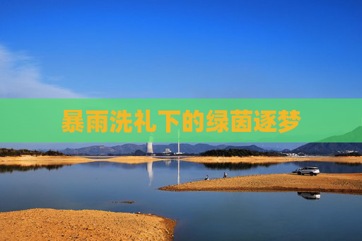 暴雨洗礼下的绿茵逐梦