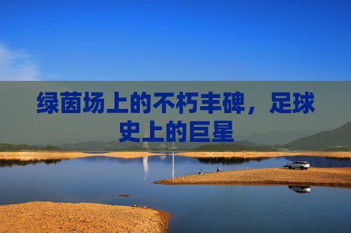 绿茵场上的不朽丰碑，足球史上的巨星