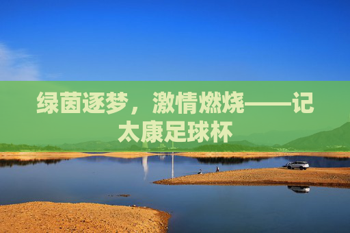 绿茵逐梦，激情燃烧——记太康足球杯