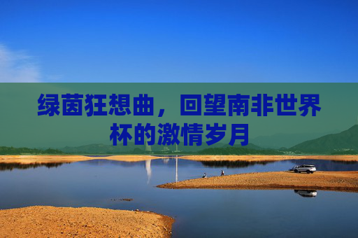 绿茵狂想曲，回望南非世界杯的激情岁月