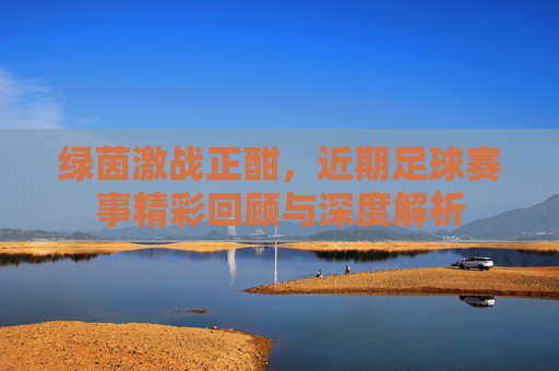 绿茵激战正酣，近期足球赛事精彩回顾与深度解析