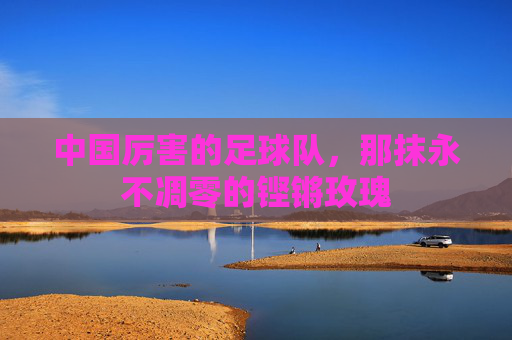 中国厉害的足球队，那抹永不凋零的铿锵玫瑰