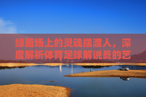 绿茵场上的灵魂摆渡人，深度解析体育足球解说员的艺术与魅力