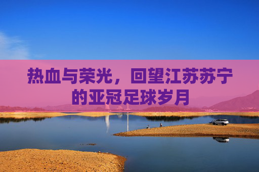 热血与荣光，回望江苏苏宁的亚冠足球岁月