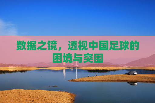 数据之镜，透视中国足球的困境与突围