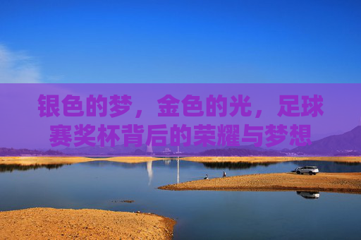 银色的梦，金色的光，足球赛奖杯背后的荣耀与梦想