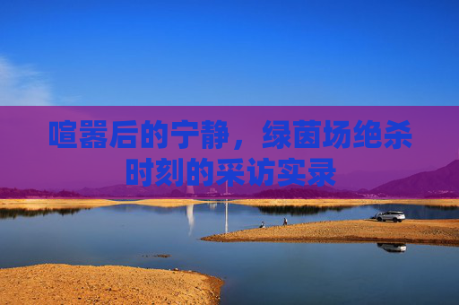 喧嚣后的宁静，绿茵场绝杀时刻的采访实录