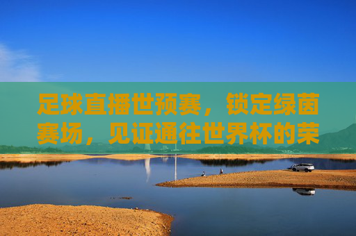 足球直播世预赛，锁定绿茵赛场，见证通往世界杯的荣耀之路