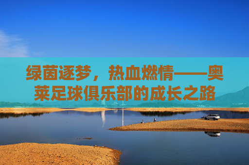 绿茵逐梦，热血燃情——奥莱足球俱乐部的成长之路