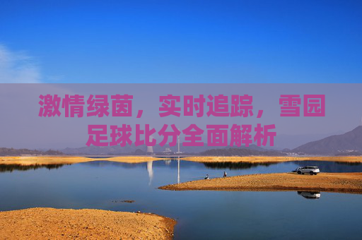 激情绿茵，实时追踪，雪园足球比分全面解析