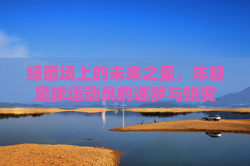 绿茵场上的未来之星，年轻足球运动员的逐梦与蜕变