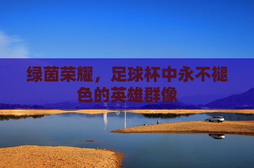 绿茵荣耀，足球杯中永不褪色的英雄群像