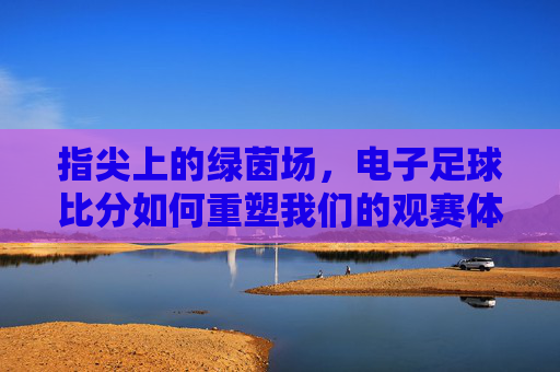 指尖上的绿茵场，电子足球比分如何重塑我们的观赛体验