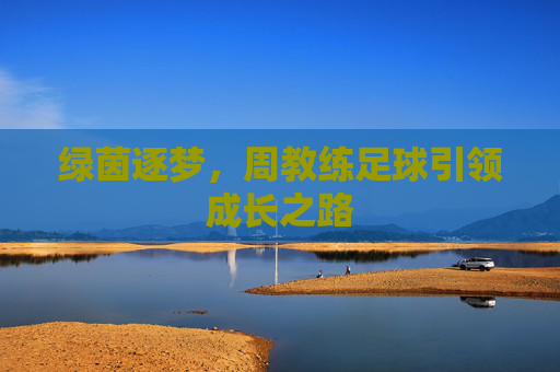绿茵逐梦，周教练足球引领成长之路