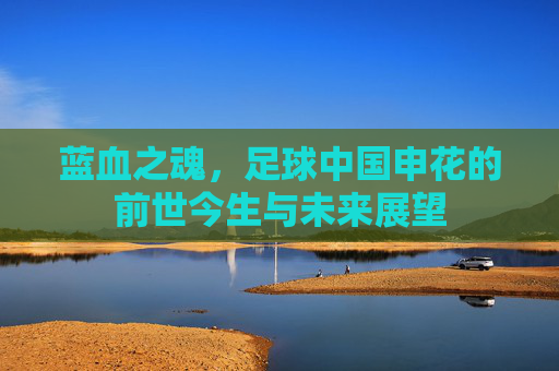 蓝血之魂，足球中国申花的前世今生与未来展望