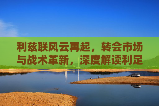 利兹联风云再起，转会市场与战术革新，深度解读利足球新闻背后的焦点