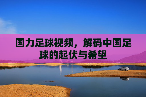 国力足球视频，解码中国足球的起伏与希望