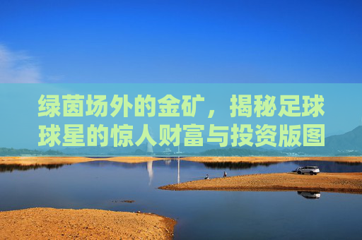绿茵场外的金矿，揭秘足球球星的惊人财富与投资版图