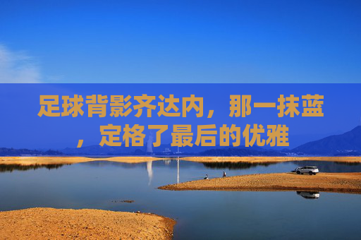 足球背影齐达内，那一抹蓝，定格了最后的优雅