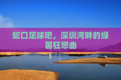 蛇口足球吧，深圳湾畔的绿茵狂想曲