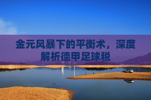 金元风暴下的平衡术，深度解析德甲足球税