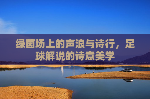 绿茵场上的声浪与诗行，足球解说的诗意美学