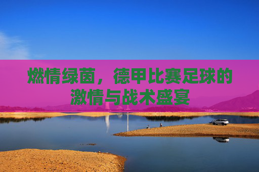 燃情绿茵，德甲比赛足球的激情与战术盛宴