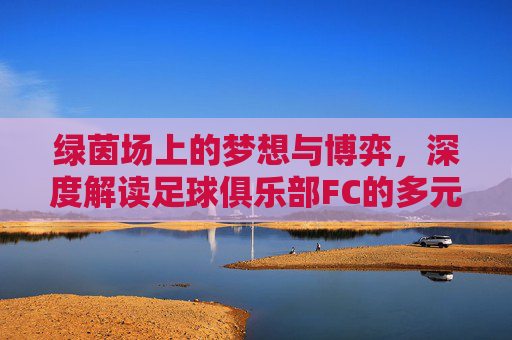 绿茵场上的梦想与博弈，深度解读足球俱乐部FC的多元魅力