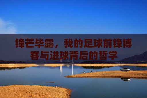 锋芒毕露，我的足球前锋博客与进球背后的哲学