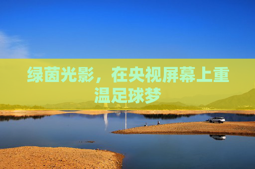 绿茵光影，在央视屏幕上重温足球梦