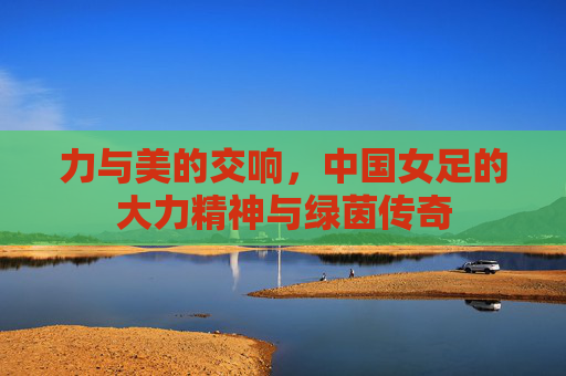 力与美的交响，中国女足的大力精神与绿茵传奇