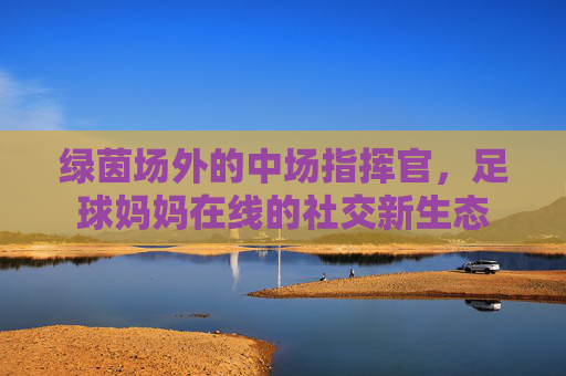 绿茵场外的中场指挥官，足球妈妈在线的社交新生态