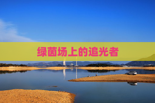 绿茵场上的追光者