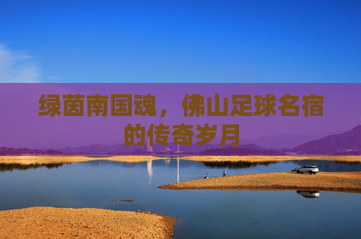 绿茵南国魂，佛山足球名宿的传奇岁月