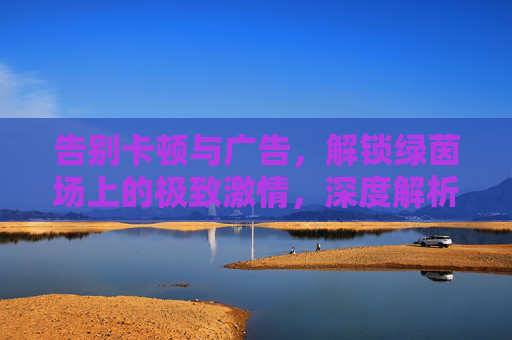 告别卡顿与广告，解锁绿茵场上的极致激情，深度解析足球视频会员的价值