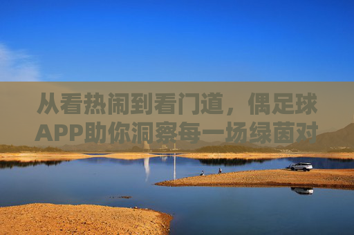 从看热闹到看门道，偶足球APP助你洞察每一场绿茵对决