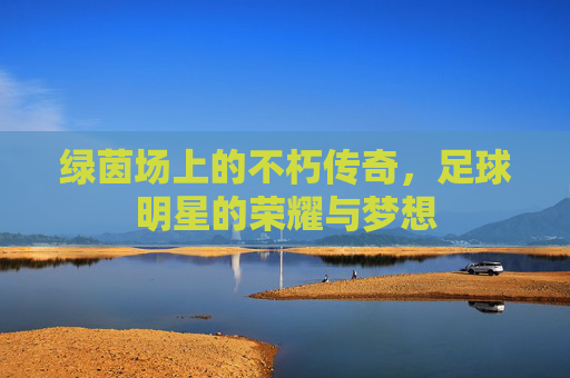 绿茵场上的不朽传奇，足球明星的荣耀与梦想