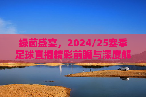 绿茵盛宴，2024/25赛季足球直播精彩前瞻与深度解析