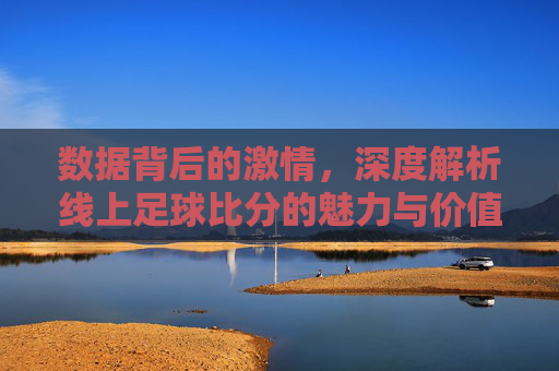 数据背后的激情，深度解析线上足球比分的魅力与价值