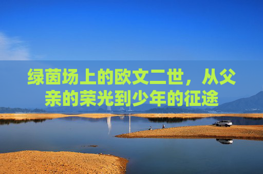 绿茵场上的欧文二世，从父亲的荣光到少年的征途