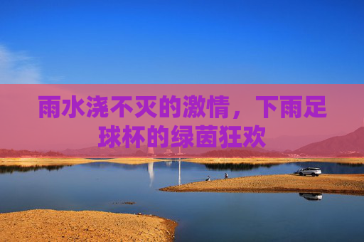 雨水浇不灭的激情，下雨足球杯的绿茵狂欢