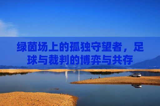 绿茵场上的孤独守望者，足球与裁判的博弈与共存