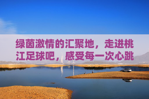 绿茵激情的汇聚地，走进桃江足球吧，感受每一次心跳