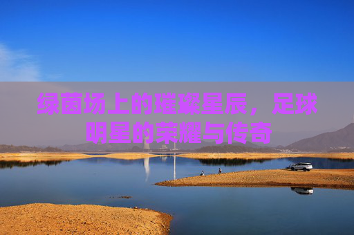 绿茵场上的璀璨星辰，足球明星的荣耀与传奇