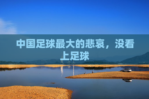 中国足球最大的悲哀，没看上足球