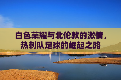 白色荣耀与北伦敦的激情，热刺队足球的崛起之路