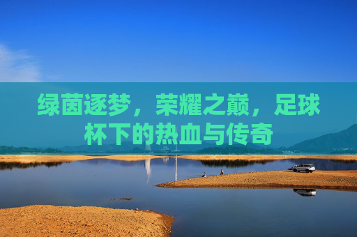 绿茵逐梦，荣耀之巅，足球杯下的热血与传奇