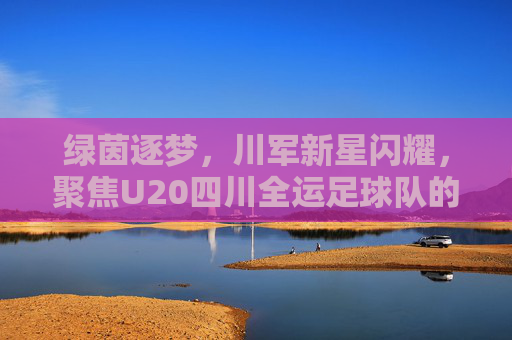 绿茵逐梦，川军新星闪耀，聚焦U20四川全运足球队的荣耀征途