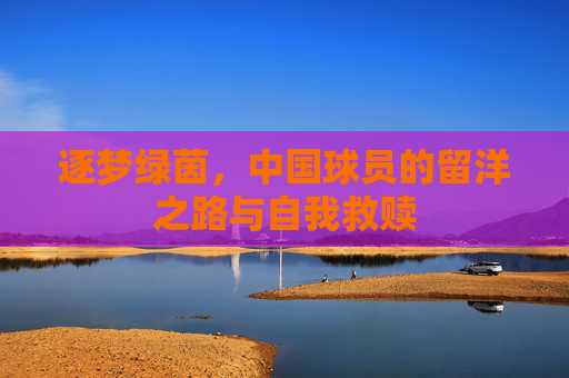 逐梦绿茵，中国球员的留洋之路与自我救赎