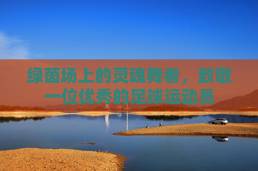 绿茵场上的灵魂舞者，致敬一位优秀的足球运动员